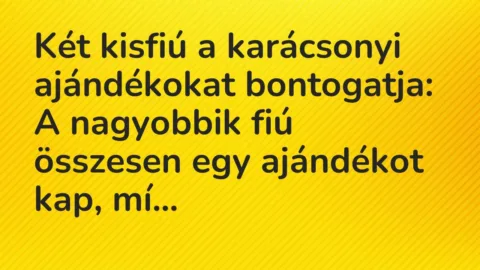 Vicc: Két kisfiú a karácsonyi ajándékokat bontogatja:

A nagyobbik fiú összesen…