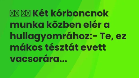 Vicc: 
		  
		  Két kórboncnok munka közben elér a hullagyomrához:-…