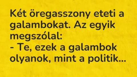 Vicc: Két öregasszony eteti a galambokat. Az egyik megszólal:

– Te, ezek a…