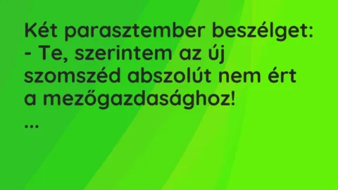 Vicc: Két parasztember beszélget:

– Te, szerintem az új szomszéd abszolút nem ért…