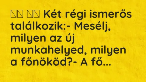 Vicc: 
		  
		  Két régi ismerős találkozik:- Mesélj, milyen az új…