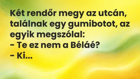 Vicc: Két rendőr megy az utcán, találnak egy gumibotot, az egyik megszólal:

– Te…