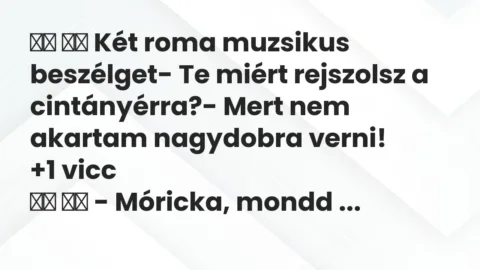 Vicc: 
		  
		  Két roma muzsikus beszélget- Te miért rejszolsz a…