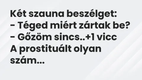Vicc: Két szauna beszélget:

– Téged miért zártak be?

– Gőzöm sincs..