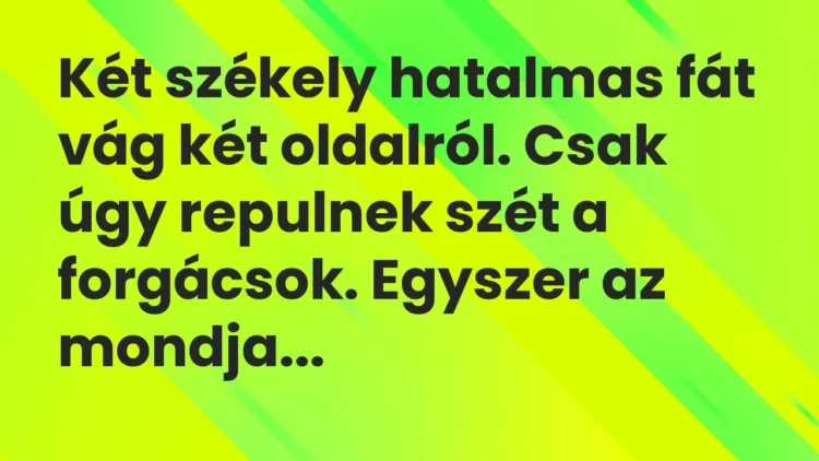 Vicc: Két székely hatalmas fát vág két oldalról. Csak úgy repulnek szét a forgácsok…. Vicc: Két székely hatalmas fát vág két oldalról. Csak úgy repulnek szét a forgácsok….