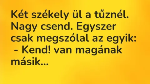 Vicc: Két székely ül a tűznél. Nagy csend. Egyszer csak megszólal az egyik:

 -…