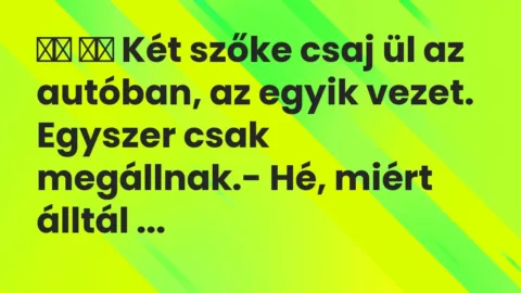 Vicc: 
		  
		  Két szőke csaj ül az autóban, az egyik vezet. Egyszer csak …