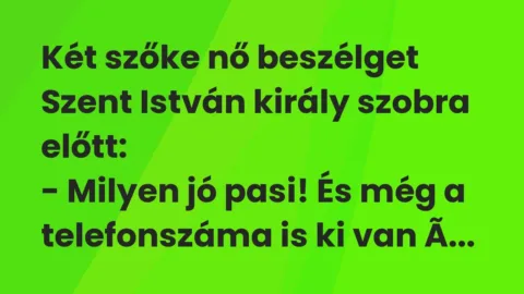 Vicc: Két szőke nő beszélget Szent István király szobra előtt:

– Milyen jó pasi!…