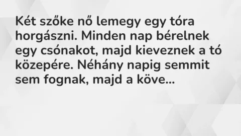 Vicc: Két szőke nő lemegy egy tóra horgászni. Minden nap bérelnek egy csónakot, majd…