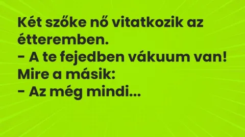 Vicc: Két szőke nő vitatkozik az étteremben.

– A te fejedben vákuum…