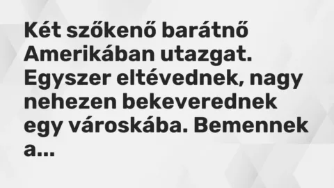 Vicc: Két szőkenő barátnő Amerikában utazgat. Egyszer eltévednek, nagy nehezen…