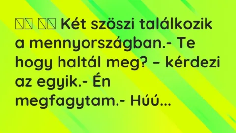 Vicc: 
		  
		  Két szöszi találkozik a mennyországban.- Te hogy haltál…
