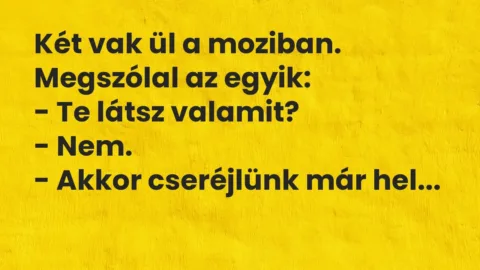 Vicc: Két vak ül a moziban. Megszólal az egyik:

– Te látsz valamit?

-…