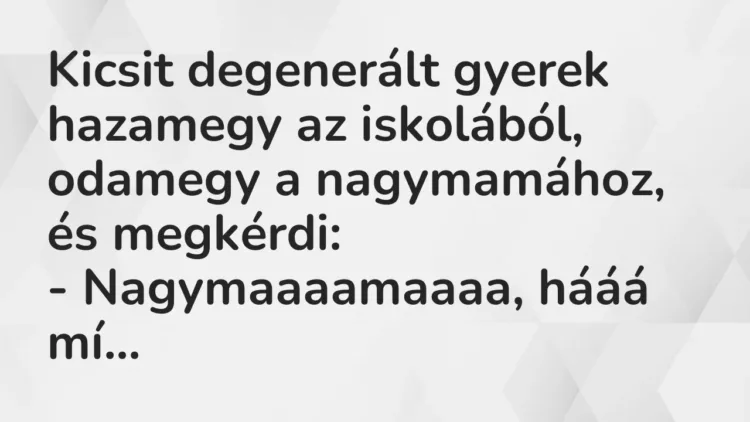 Vicc: Kicsit degenerált gyerek hazamegy az iskolából, odamegy a nagymamához, és… Vicc: Kicsit degenerált gyerek hazamegy az iskolából, odamegy a nagymamához, és…