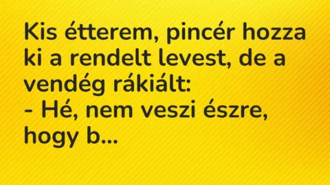 Vicc: Kis étterem, pincér hozza ki a rendelt levest, de a vendég rákiált:

– Hé,…