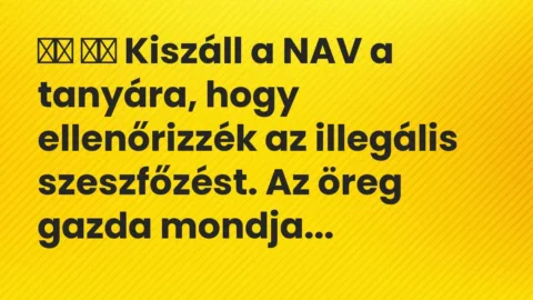 Vicc: 
		  
		  Kiszáll a NAV a tanyára, hogy ellenőrizzék az illegális…