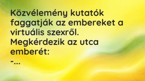 Vicc: Közvélemény kutatók faggatják az embereket a virtuális szexről.

Megkérdezik…