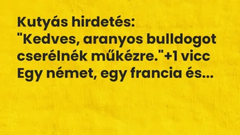 Vicc: Kutyás hirdetés:

„Kedves, aranyos bulldogot cserélnék műkézre.”