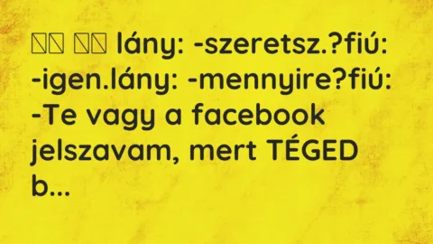Vicc: 
		  
		  lány: -szeretsz.?fiú: -igen.lány:…
