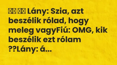 Vicc: 
		  
		  Lány: Szia, azt beszélik rólad, hogy meleg vagyFiú:…