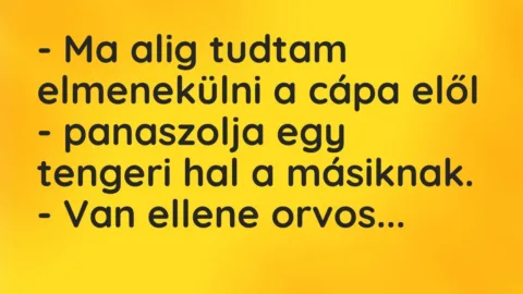 Vicc: – Ma alig tudtam elmenekülni a cápa elől – panaszolja egy tengeri hal a…