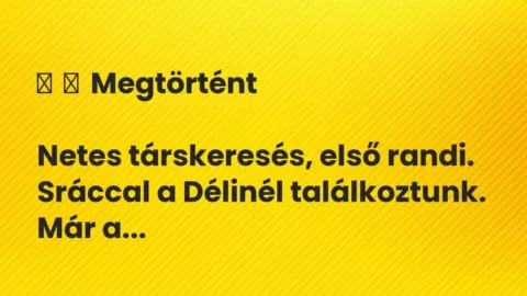 Vicc: 
	    	    Megtörtént


Netes társkeresés, első randi. Sráccal a Délinél…