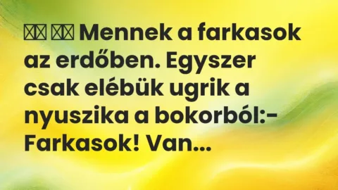 Vicc: 
		  
		  Mennek a farkasok az erdőben. Egyszer csak elébük ugrik a…