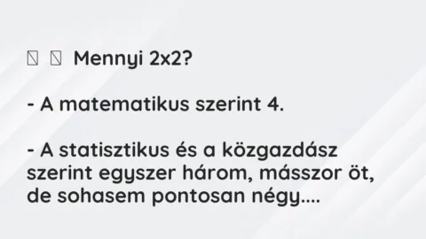 Vicc: 
	    	    Mennyi 2×2?


– A matematikus szerint 4.


– A statisztikus…