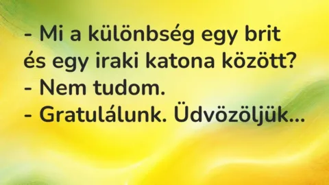 Vicc: – Mi a különbség egy brit és egy iraki katona között?

– Nem tudom.

-…