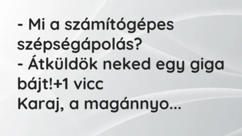 Vicc: – Mi a számítógépes szépségápolás?

– Átküldök neked egy giga bájt!