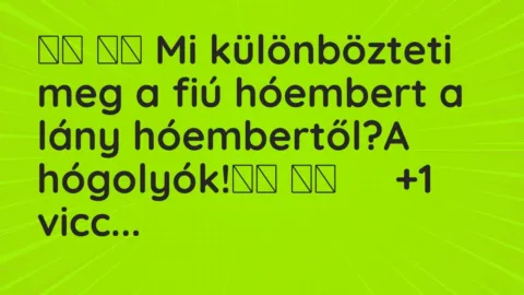 Vicc: 
		  
		  Mi különbözteti meg a fiú hóembert a lány hóembertől?A …