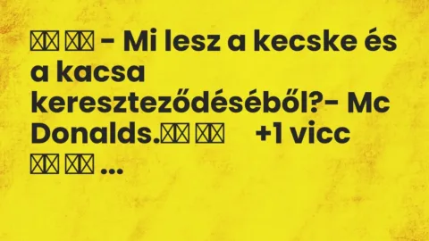 Vicc: 
		  
		  – Mi lesz a kecske és a kacsa kereszteződéséből?- Mc…