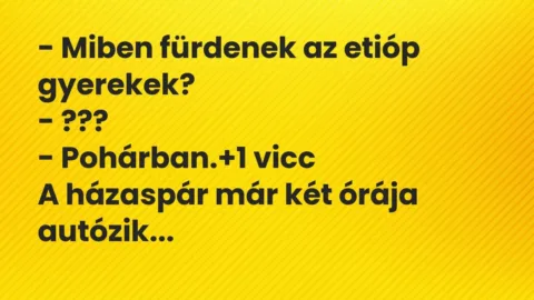 Vicc: – Miben fürdenek az etióp gyerekek?

– ???

– Pohárban.