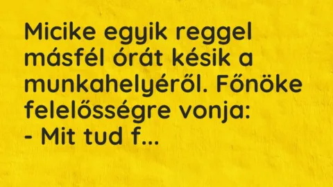 Vicc: Micike egyik reggel másfél órát késik a munkahelyéről. Főnöke felelősségre…