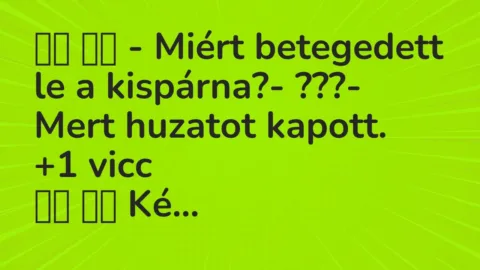 Vicc: 
		  
		  – Miért betegedett le a kispárna?- ???- Mert…