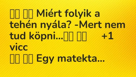 Vicc: 
		  
		  Miért folyik a tehén nyála? -Mert nem tud köpni…		 …