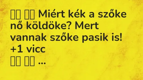 Vicc: 
		  
		  Miért kék a szőke nő köldöke? Mert vannak szőke pasik…