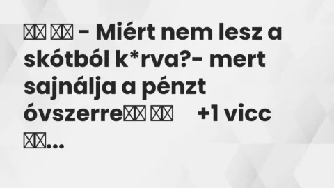 Vicc: 
		  
		  – Miért nem lesz a skótból k*rva?- mert sajnálja a…