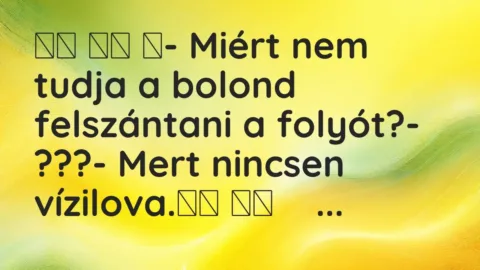Vicc: 
		  
		  ‎- Miért nem tudja a bolond felszántani a folyót?-…