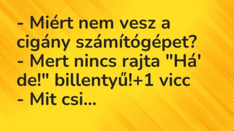 Vicc: – Miért nem vesz a cigány számítógépet?

– Mert nincs rajta “Há’ de!”…
