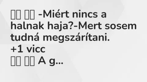 Vicc: 
		  
		  -Miért nincs a halnak haja?-Mert sosem tudná…