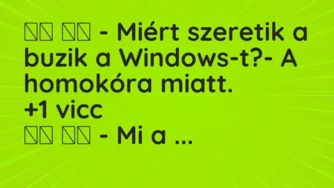 Vicc: 
		  
		  – Miért szeretik a buzik a Windows-t?- A homokóra…