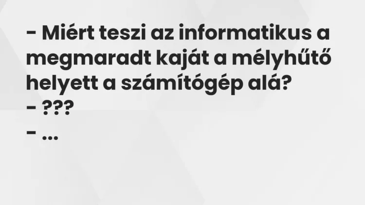 Vicc: – Miért teszi az informatikus a megmaradt kaját a mélyhűtő helyett a számítógép…