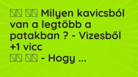 Vicc: 
		  
		  Milyen kavicsból van a legtöbb a patakban ? -…