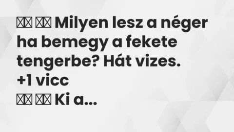 Vicc: 
		  
		  Milyen lesz a néger ha bemegy a fekete tengerbe? Hát…