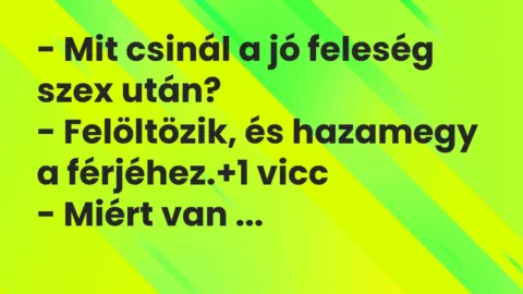 Vicc: – Mit csinál a jó feleség szex után?

– Felöltözik, és hazamegy a férjéhez.
