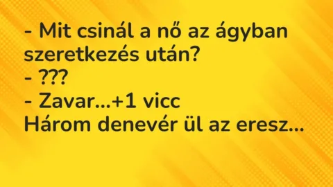 Vicc: – Mit csinál a nő az ágyban szeretkezés után?

– ???

– Zavar…