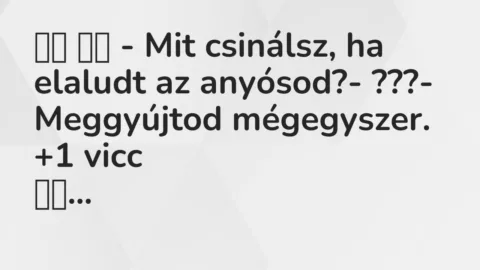 Vicc: 
		  
		  – Mit csinálsz, ha elaludt az anyósod?- ???-…