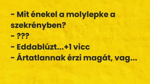 Vicc: – Mit énekel a molylepke a szekrényben?

– ???

– Eddablúzt…