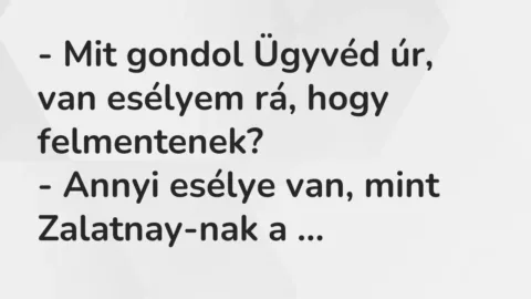 Vicc: – Mit gondol Ügyvéd úr, van esélyem rá, hogy felmentenek?

– Annyi esélye…
